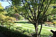 45 - Butchard Gardens  - IMG_1637